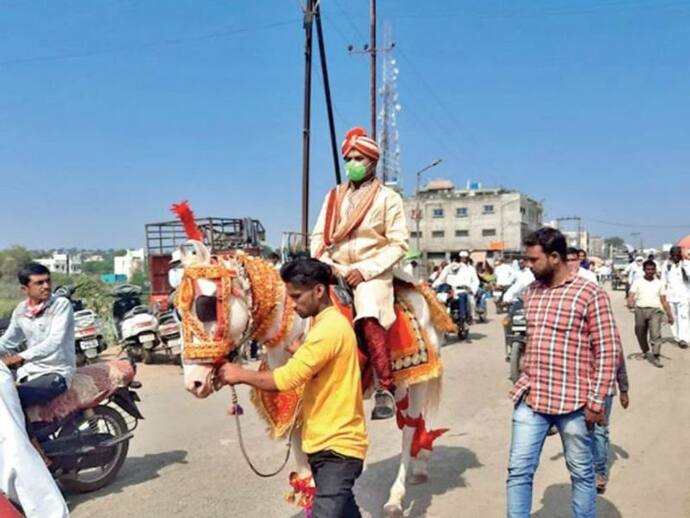 घोड़ी पर बैठकर दूल्हा बना युवक बारात लेकर पहुंचा तहसीलदार के ऑफिस, बोला-राशनकार्ड दें या शादी करवा दें