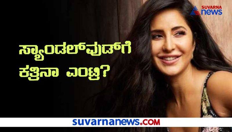 BS Yediyurappa to Katrina kaif top 10 news of November 27 ckm