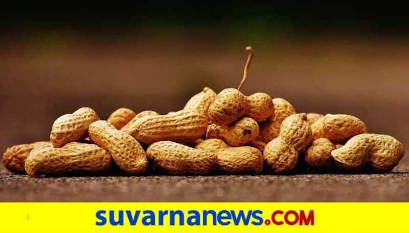 Why you must eat peanut daily during winter season