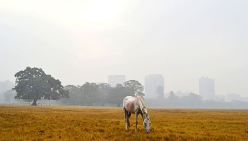 Air quality in Kolkata deteriorates to 'very poor'-dbr