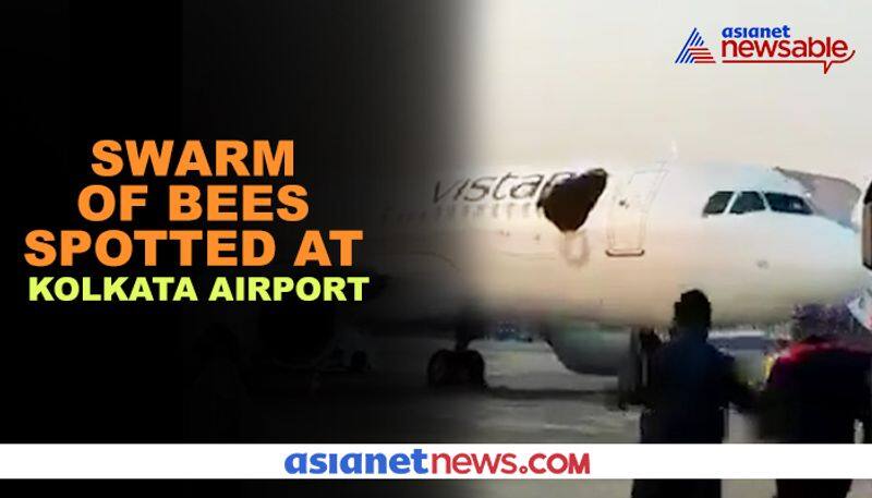 Swarm of bees attack plane at Kolkata Airport, video goes viral - gps