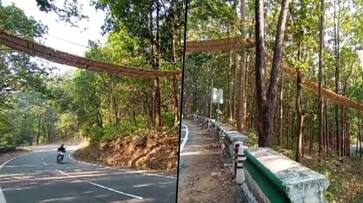 Exclusively for animals: Uttarakhand builds eco-bridge across Nainital highway