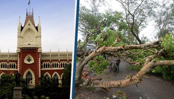 আমপান মামলায় বড়সড় ধাক্কা খেল রাজ্য সরকার, পুনর্বিবেচনার আর্জি খারিজ করল হাইকোর্ট