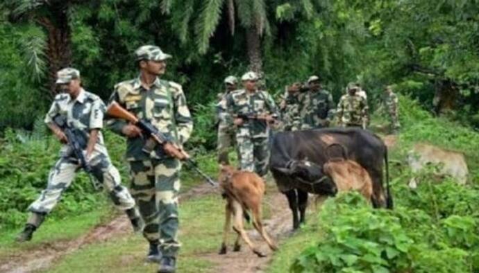 গরু পাচার কাণ্ডে চাঞ্চল্যকর মোড়, ৪ জন বিএসএফ কর্তাকে তলব করে নোটিস পাঠাল সিবিআই