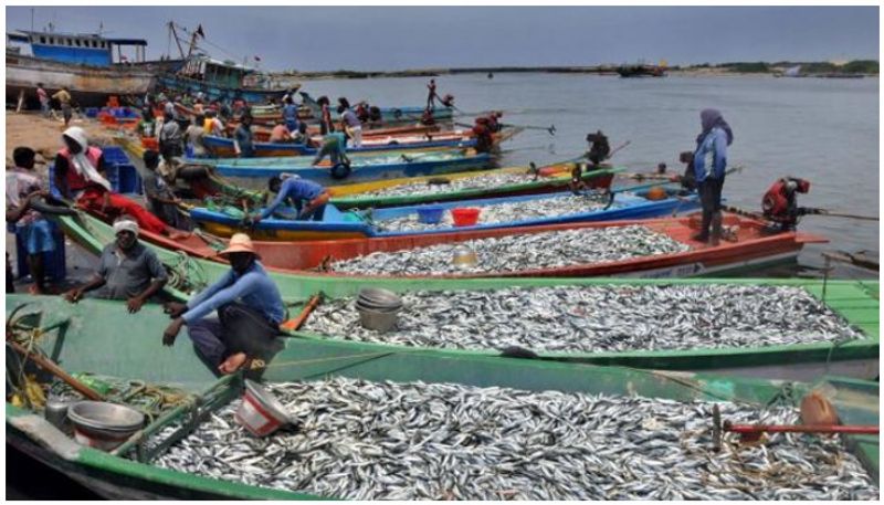 Fishing Field Faces Problems Due to Janata Curfew in Udupi grg