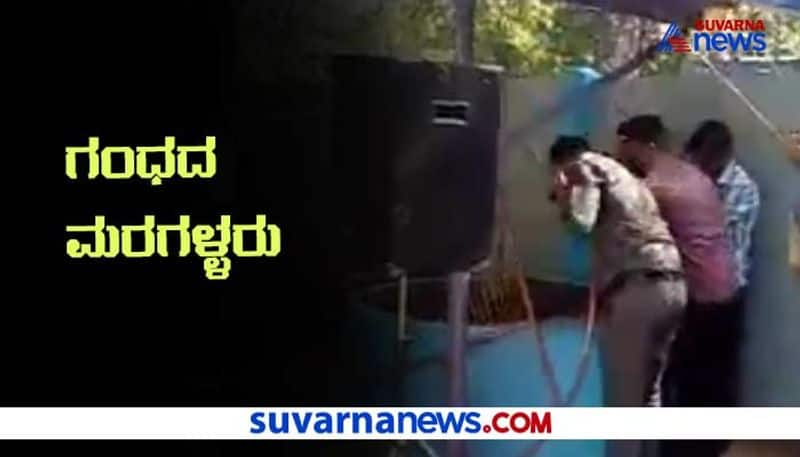 shivamogga sandalwood theft hls