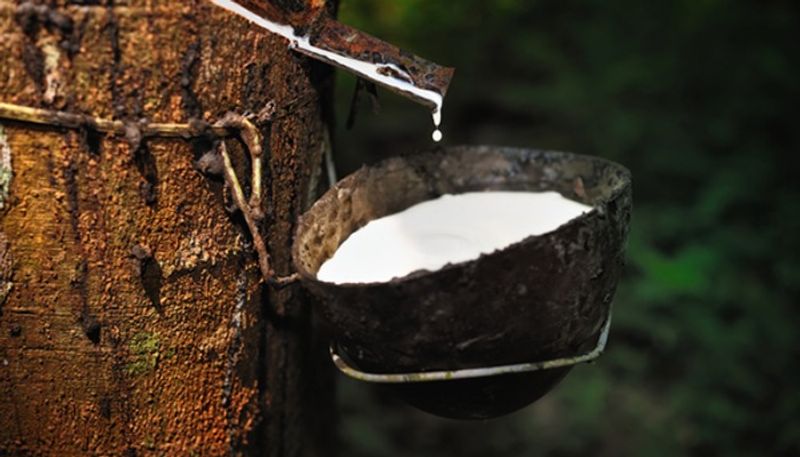 digital transformation in natural rubber sales