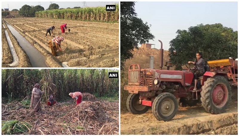 men in protest at delhi women dealing farming in up villages