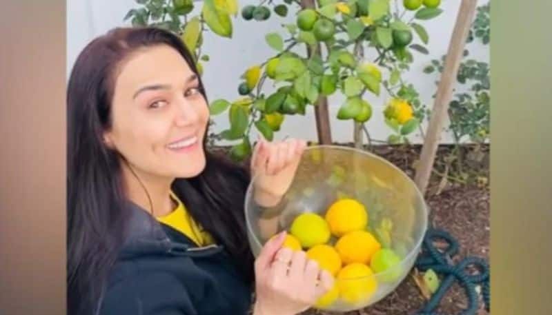 preity zinta shares video of her garden