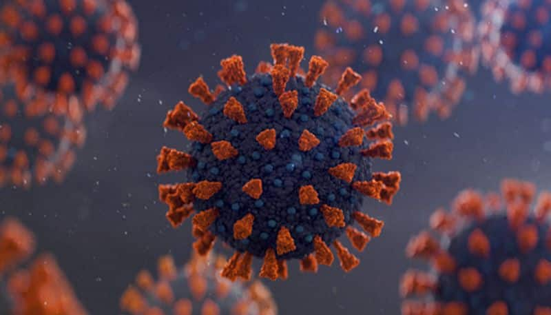 Coronavirus New South African COVID-19 variant found in UK more effective at spreading-dnm