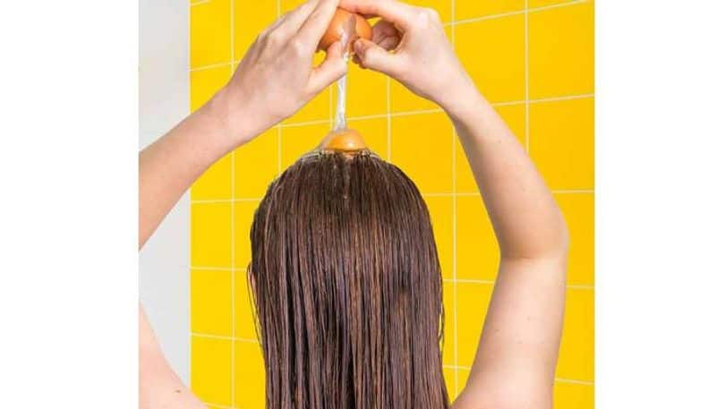 homemade egg hair mask for hair growth and thickness in tamil mks