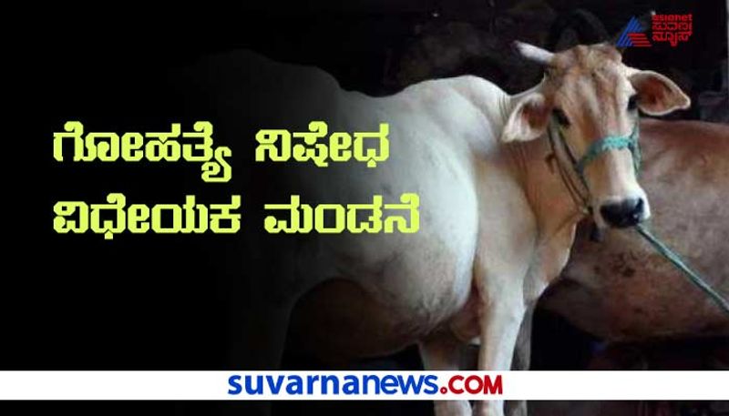 Highlights of Karnataka new anti cow slaughter Bill hls