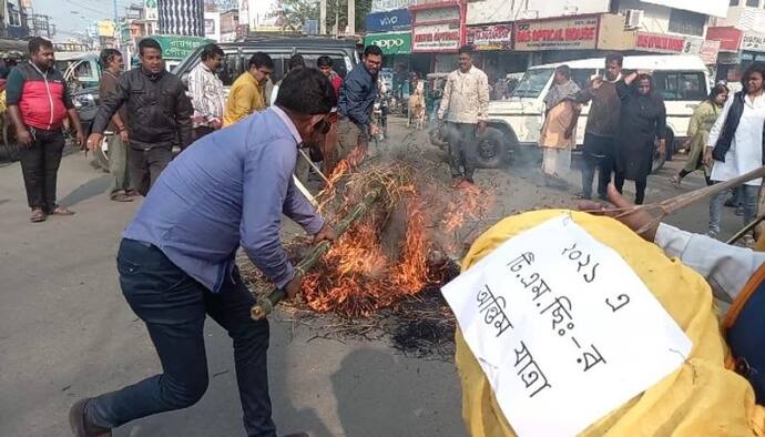 দু'পয়সার প্রেস, মহুয়া মিত্রের কটূক্তির প্রতিবাদে পোড়ানো হল তাঁর কুশপুতুল