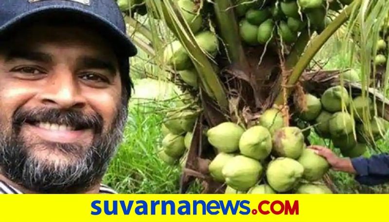 R Madhavan transforms a barren land into farm dpl