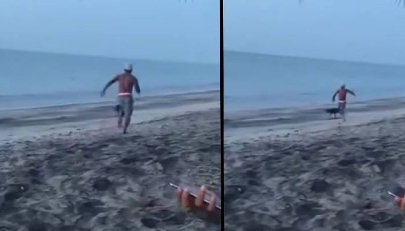 man tried to kick a stray dog video again viral