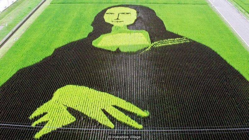 Rice paddy art of japan village