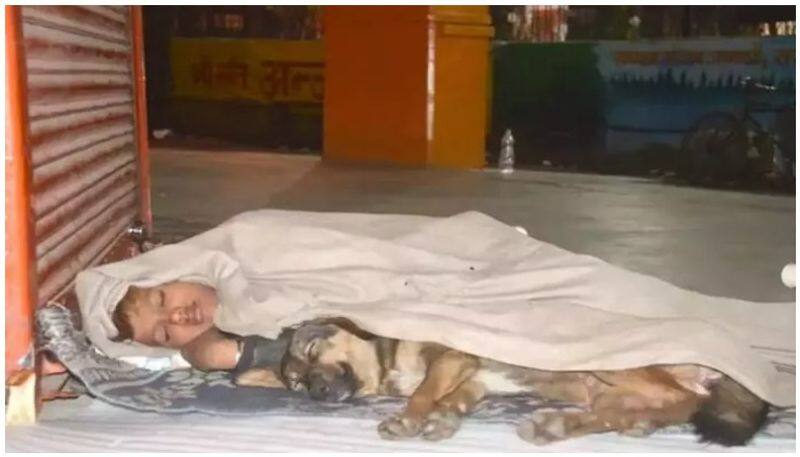 Mother abandoned father in jail toddler spends life with dog in street