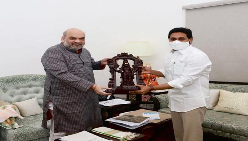 AP CM YS Jagan  Requests   Union Home minister Amit Shah to Resolve bifurcation issues  