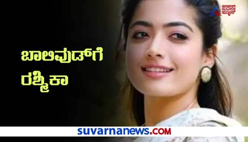 Rashmika mandanna shooting with badshah in Chhattisgarh photo viral vcs