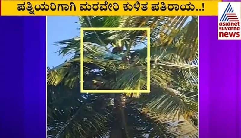 Ballari Man climbs coconut tree for wife rbj