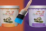 Heres more about organic Vedic Paint that is made out of cow dung