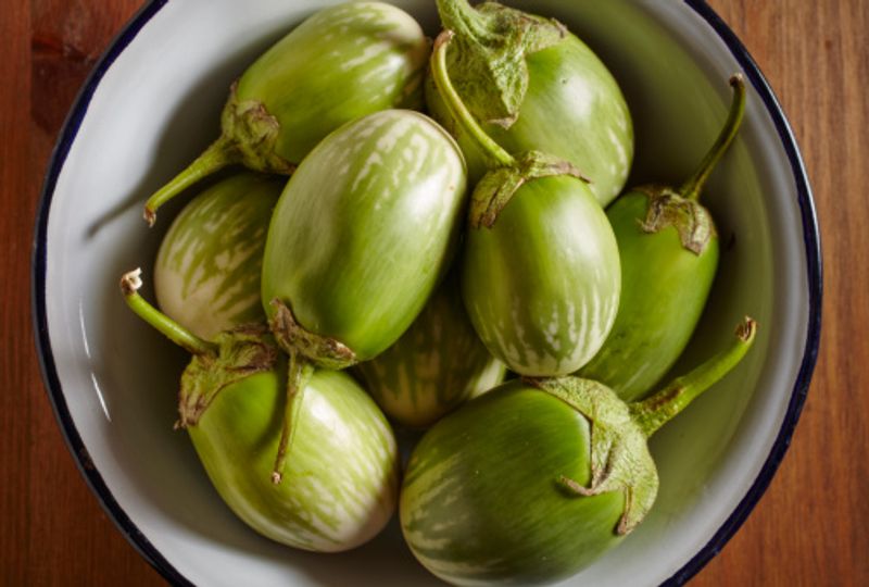 how to grow Thai Eggplants