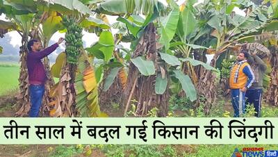 दूसरों की नौकरी करने से बेहतर है आप खेती-किसानी में काम-धंधा तलाशें, पढ़िए एक सक्सेस स्टोरी