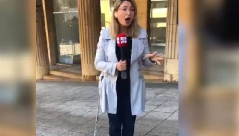 viral video of cat interrupts journalist reporting from streets