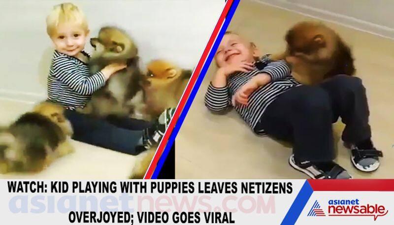 Watch Kid playing with puppies leaves netizens overjoyed; video goes viral-TGY