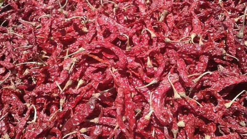 Byadagi Chilli 2000 Crore Turnover During Corona Pandemic grg