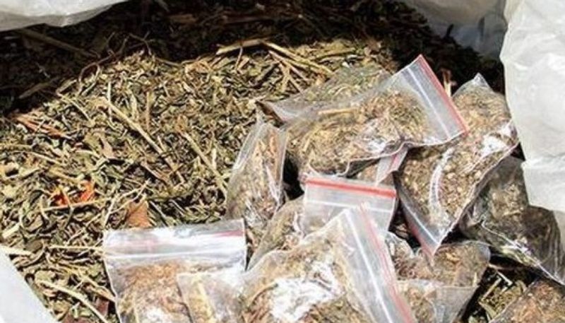 ganja smuggling 3 arrested in shivamogga snr