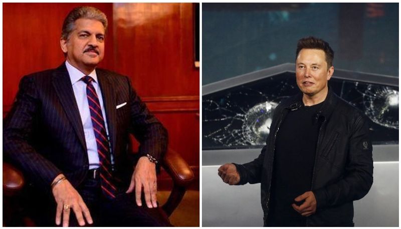 Anand Mahindra to Tesla CEO Mask You may not be able to match this car