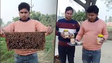 Quitting their jobs, 3 brothers take up pearl farming and beekeeping; enjoy good profits