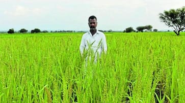 How organic farming has helped a Karnataka farmer reap a rich harvest