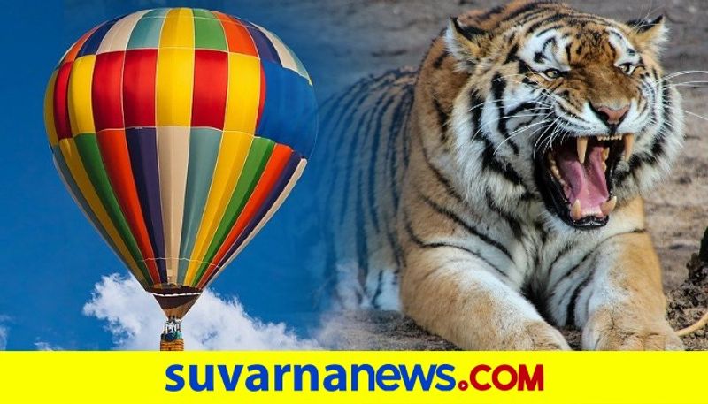 Madhya Pradesh Indias 1st tiger reserve hot air balloon safari launched dpl