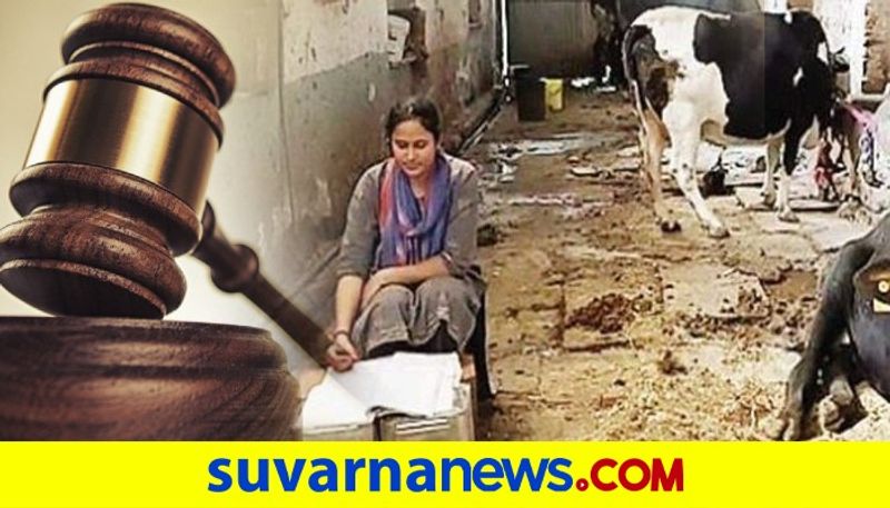 My chappals would be smeared with the cow dung: Rajasthan milkmans daughter is set to become a judge dpl