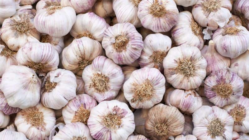 Garlic price decline in Ranebennur  Due to Heavy rain snr