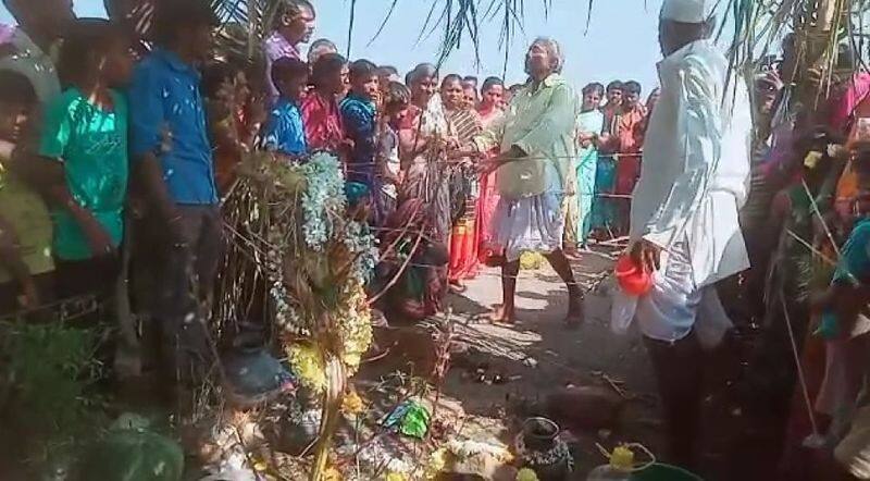 People Pooja to Pundi Tree in Bagalkot grg