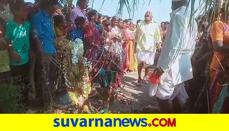 People Pooja to Pundi Tree in Bagalkot grg