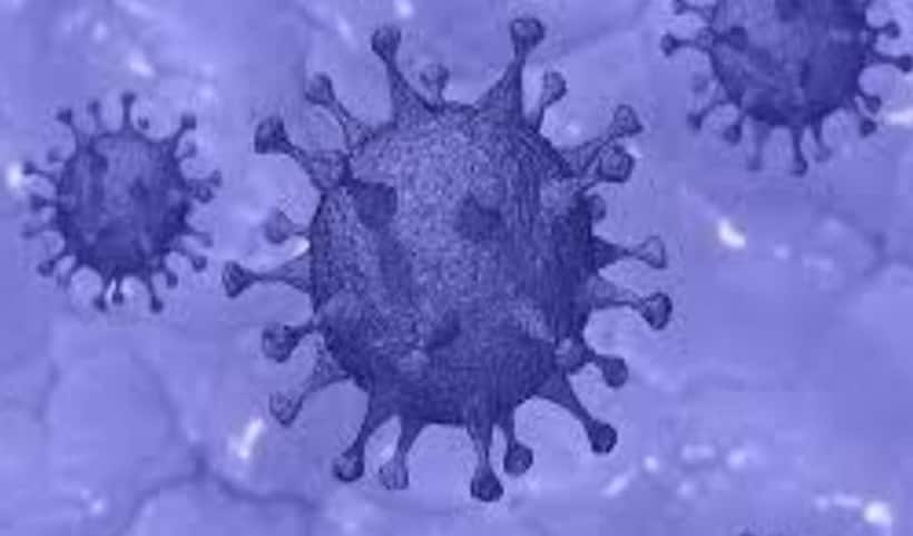 Scientists fear UK variant of COVID 19 has picked up mutation again