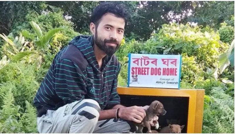 Assam man builds tiny houses for stray dogs using discarded TV sets