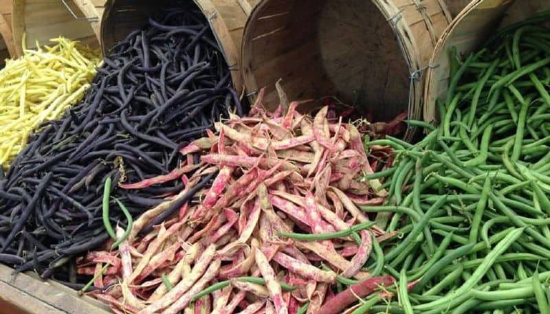 varieties of Green Beans and day of beans