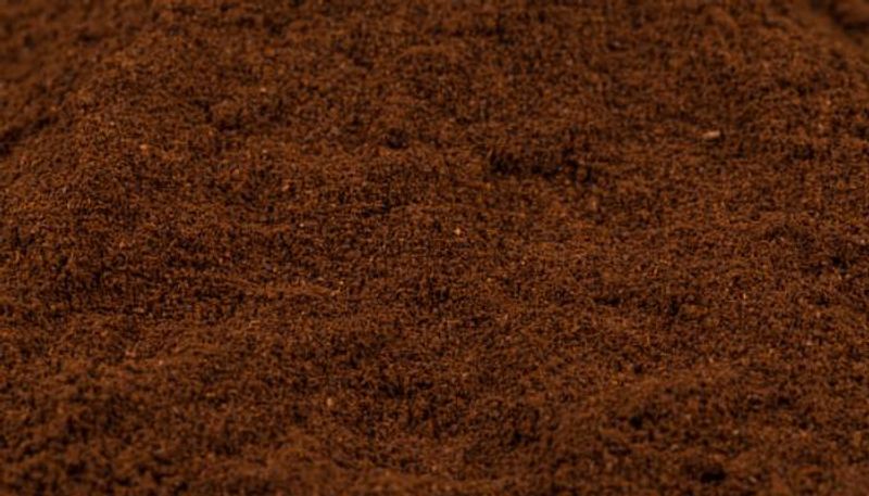 coffee powder for your plants