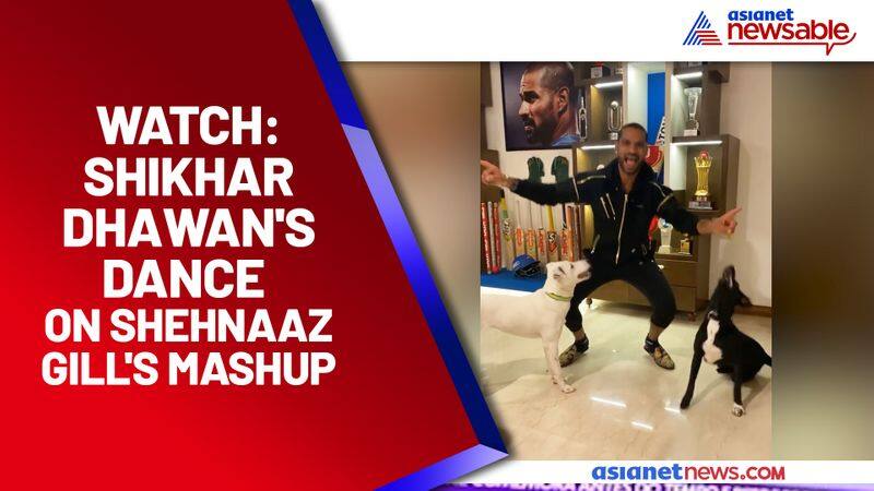 Shikhar Dhawan shaking his legs on 'Sadda Kutta Kutta': Watch the video - gps