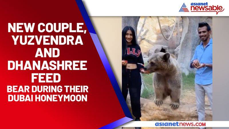 New couple, Yuzvendra and Dhanashree feed bear during their Dubai honeymoon - ycb