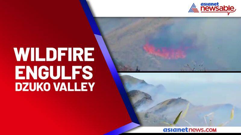 Valley of the flowers' is on fire! - gps