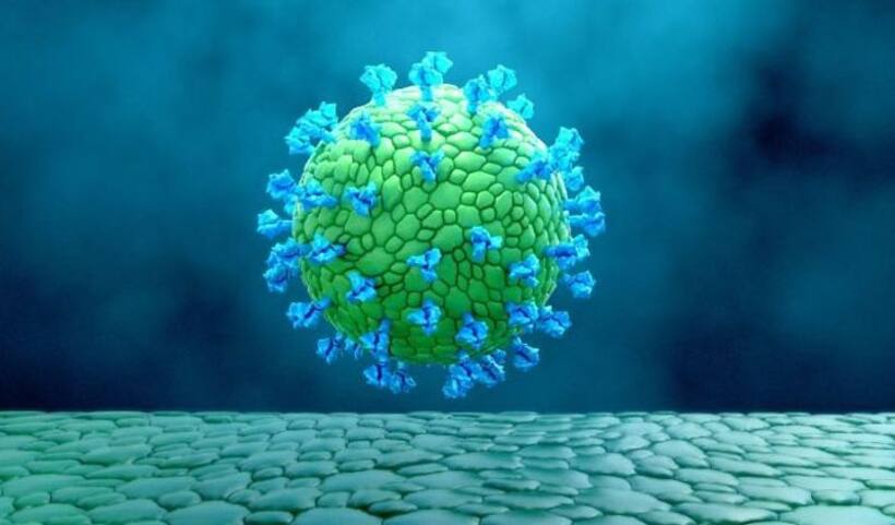 US reports first confirmed case of Omicron coronavirus variant in South Africa returnee