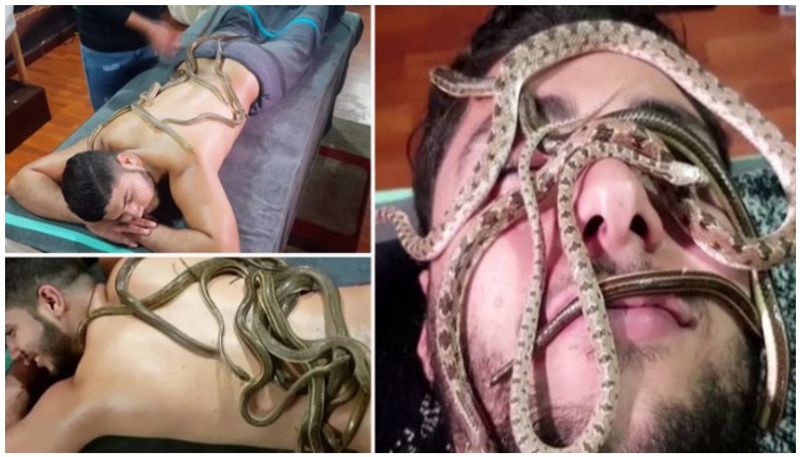 Egyptian spa offers snake massages video leaves netizens terrified