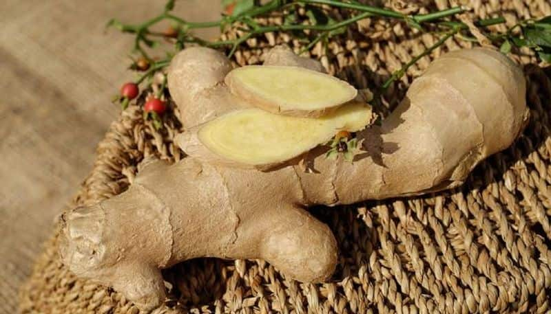 grow ginger indoor