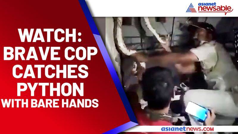 Heres how a Mumbai cop catches python with bare hands: Watch the viral video - gps